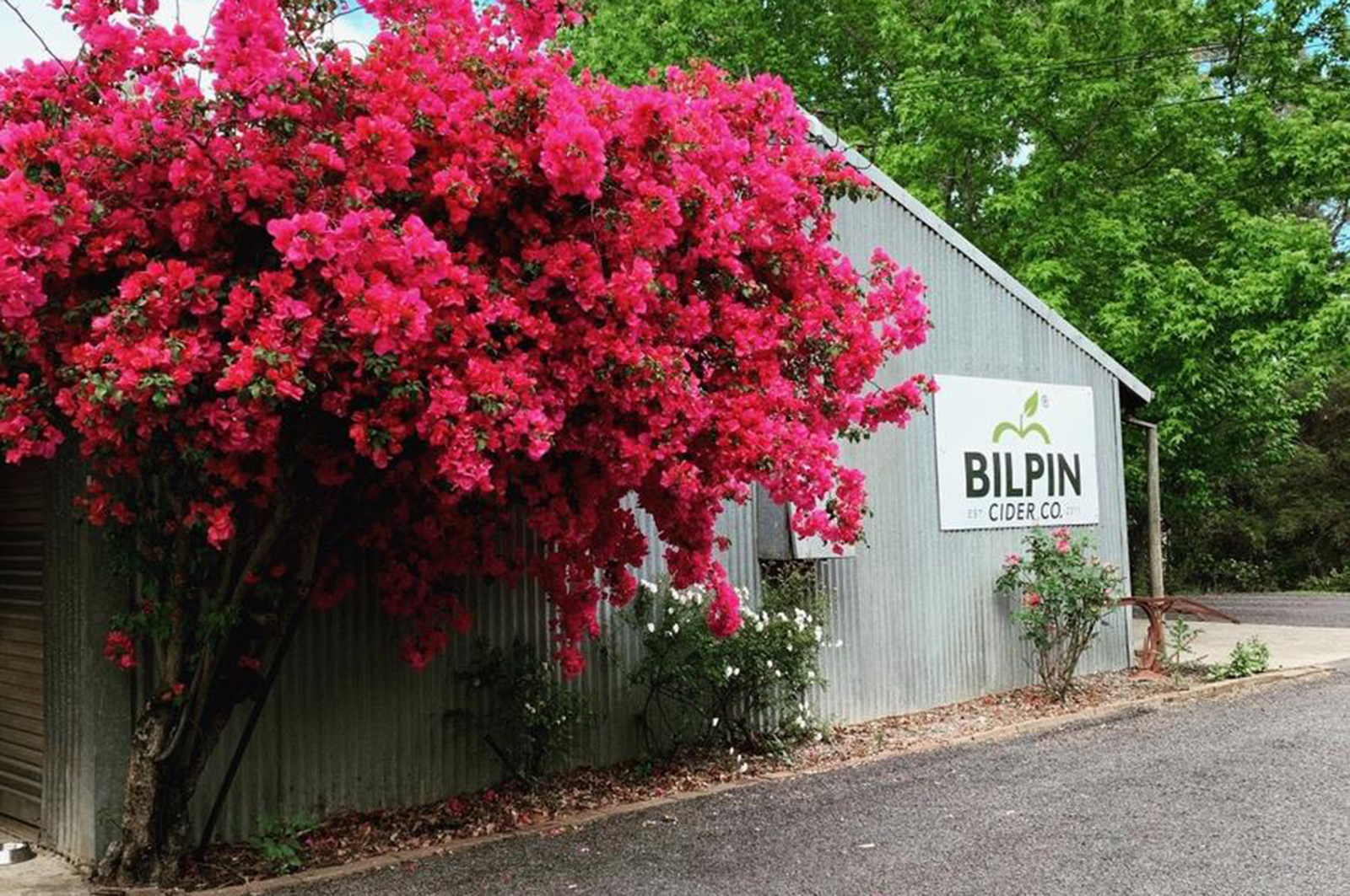 Picnic at Bilpin Cider