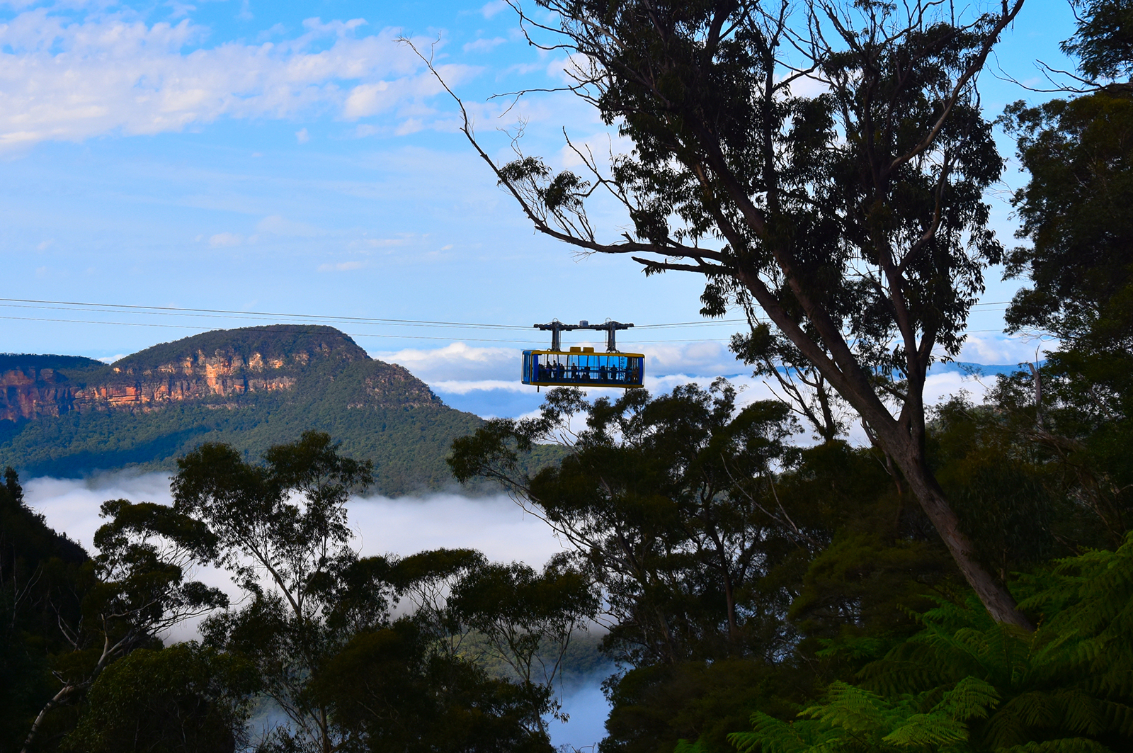 Scenic World