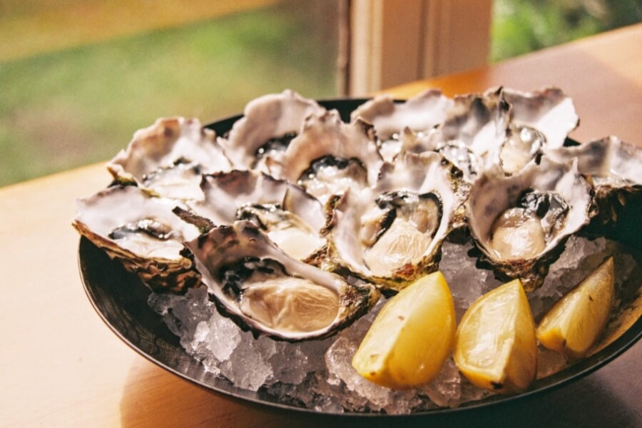 Shucked oysters at Blu Oyster Co.